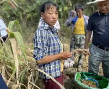 关于M?ZW赮?Z粱?(%?s<嵎亝W_?步漠萫c;?k?彪B的信息